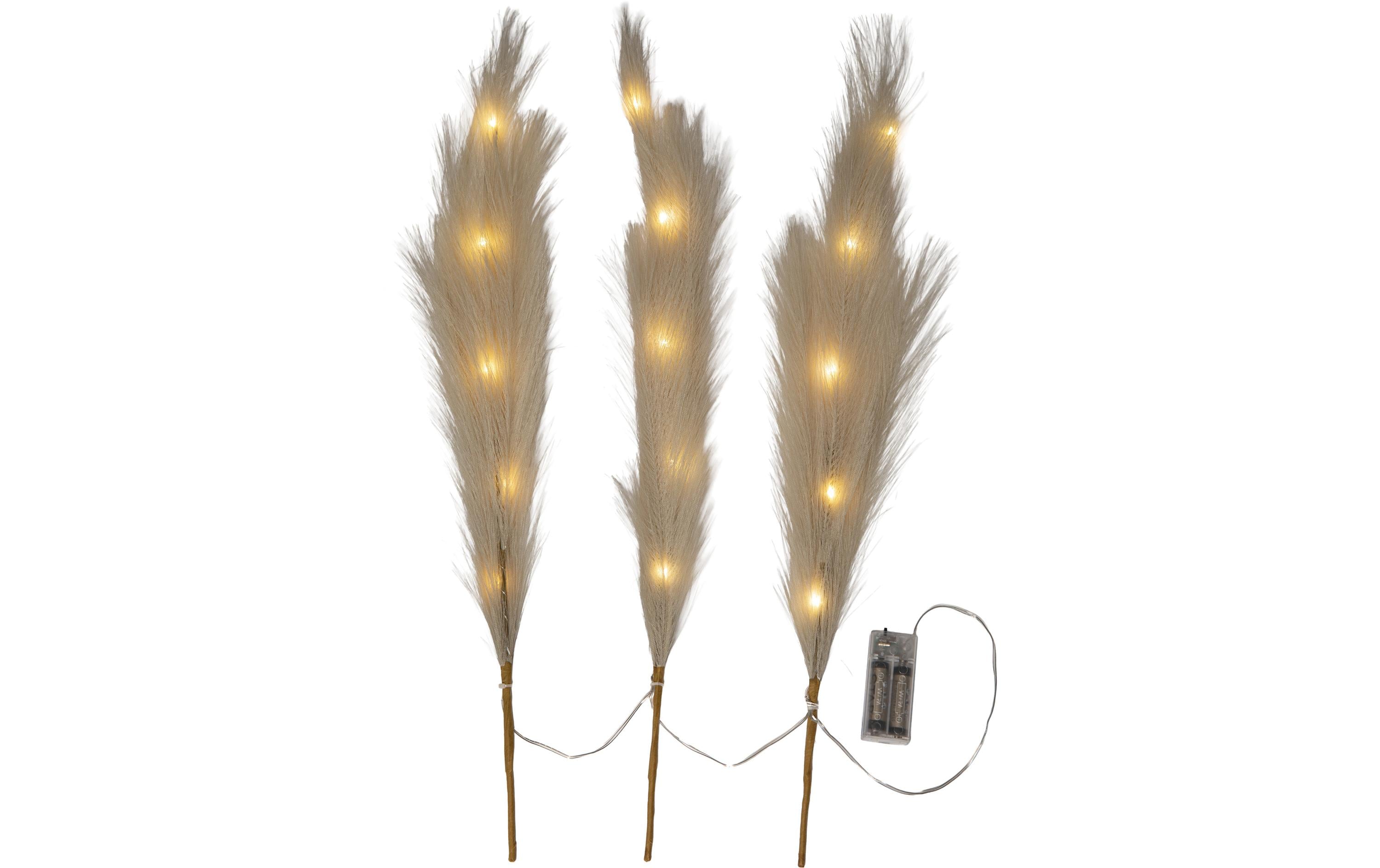 Star Trading Dekorativer Zweig Plumes Indoor, Weiss, 65 cm Höhe – Lichterkette batteriebetrieben von Star Trading