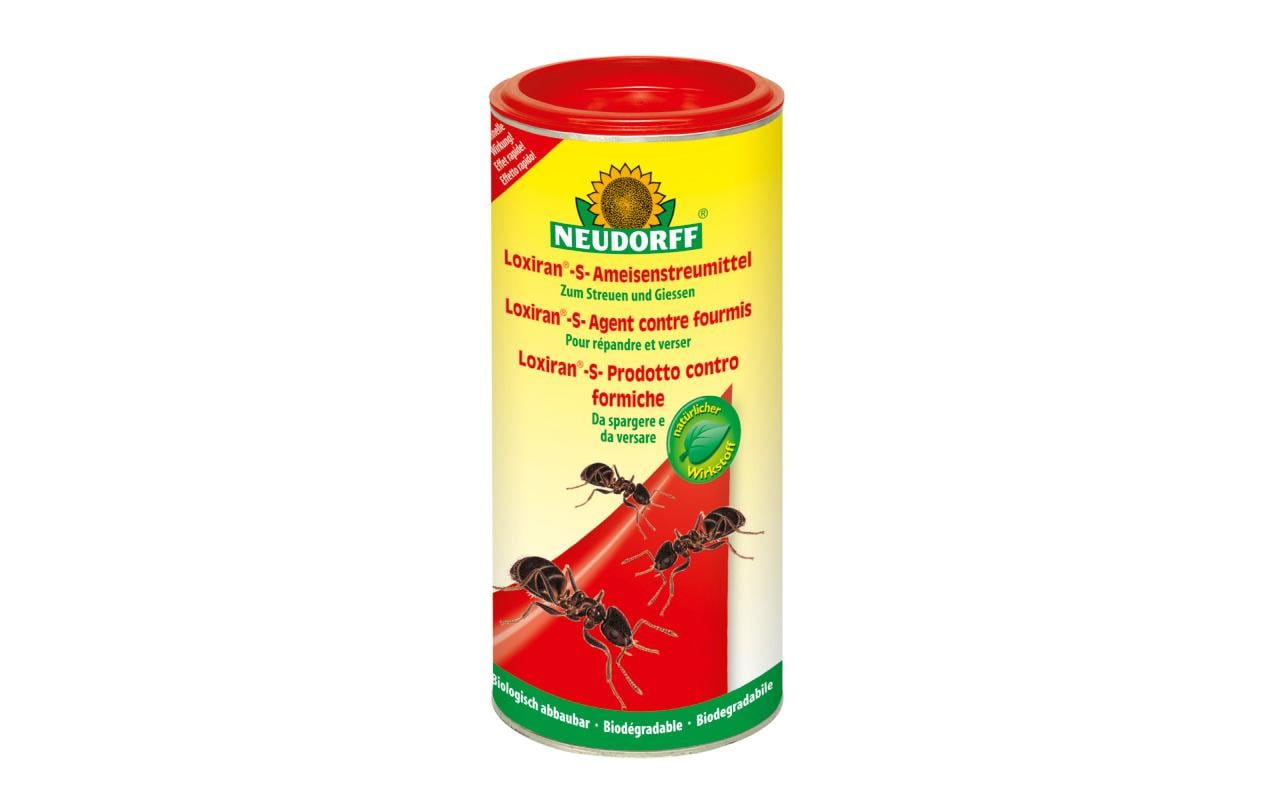 Neudorff Insektenfalle Loxiran-S-Ameisen Mittel, 500 g