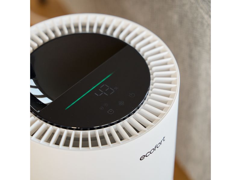 Ecofort ecoQ HumidAir E900