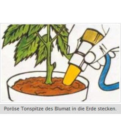 Blumat Topf-Bewässerung