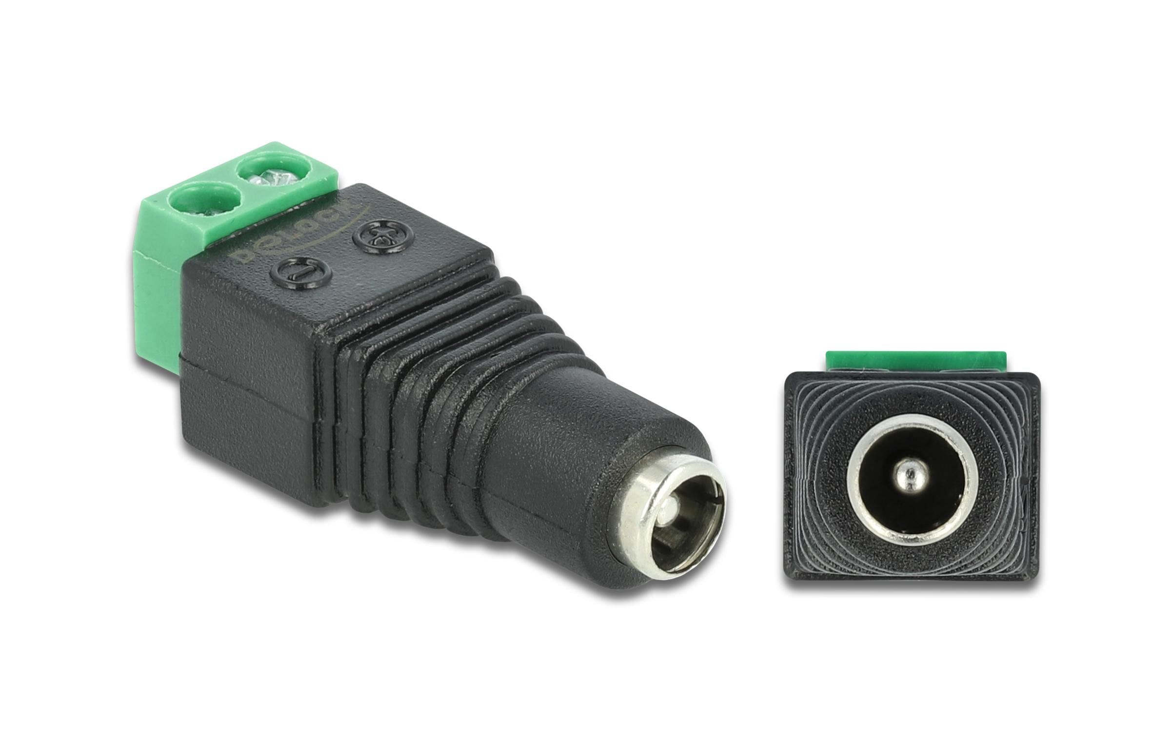 Delock Hohlstecker DC 5.5 x 2.1 mm Buchse > Terminalblock 2 Pin – DC-Adapter von Delock