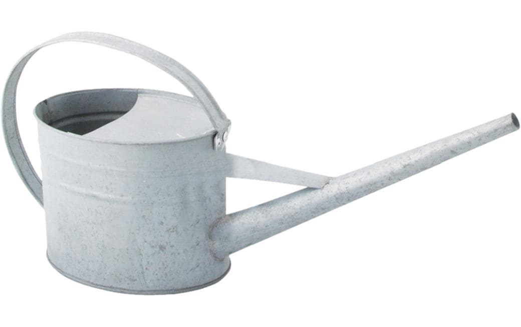 Esschert Design Giesskanne 1,6 l in Zink