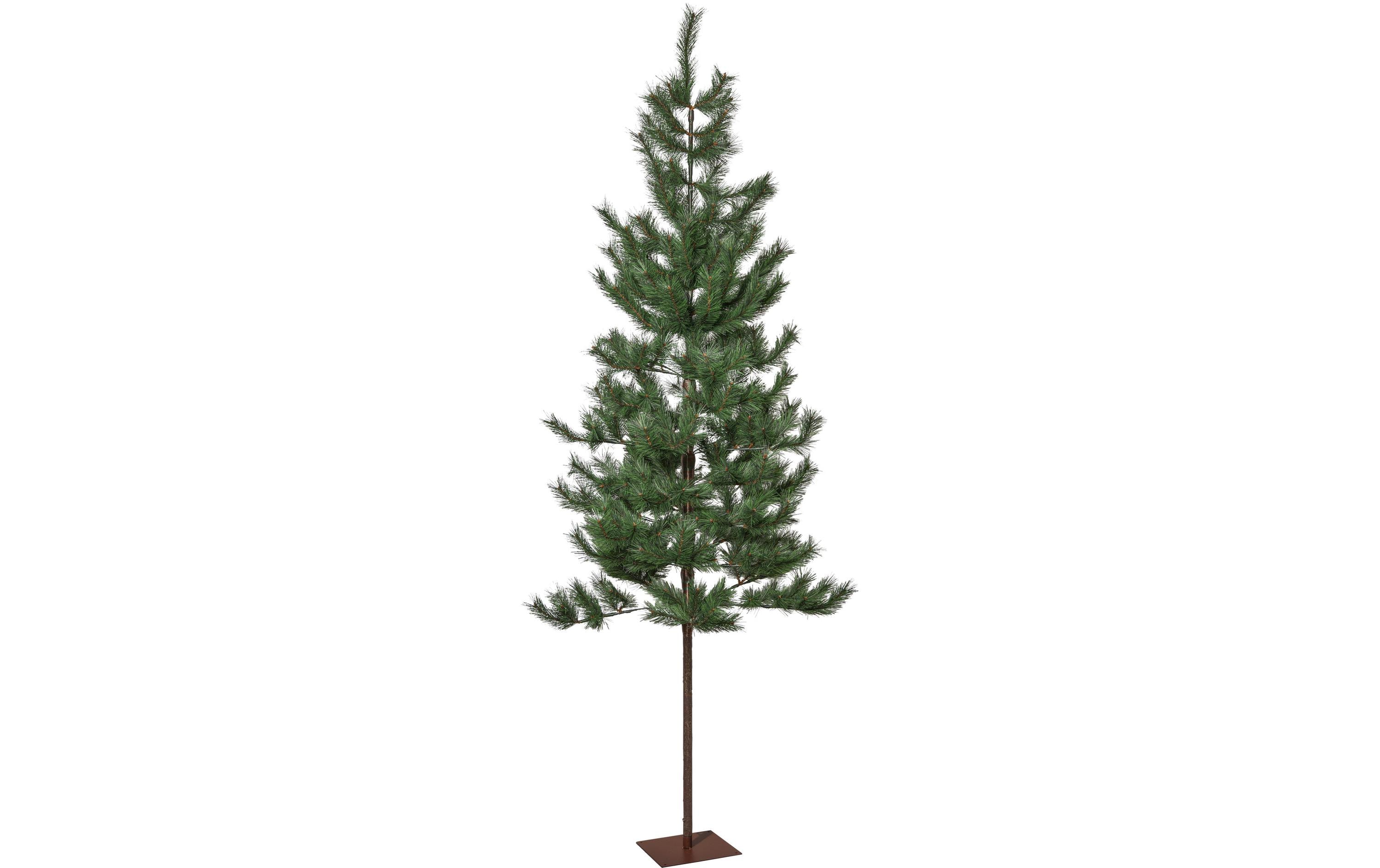 Star Trading Weihnachtsbaum Tallis Indoor, Grün, 200.00 cm Höhe