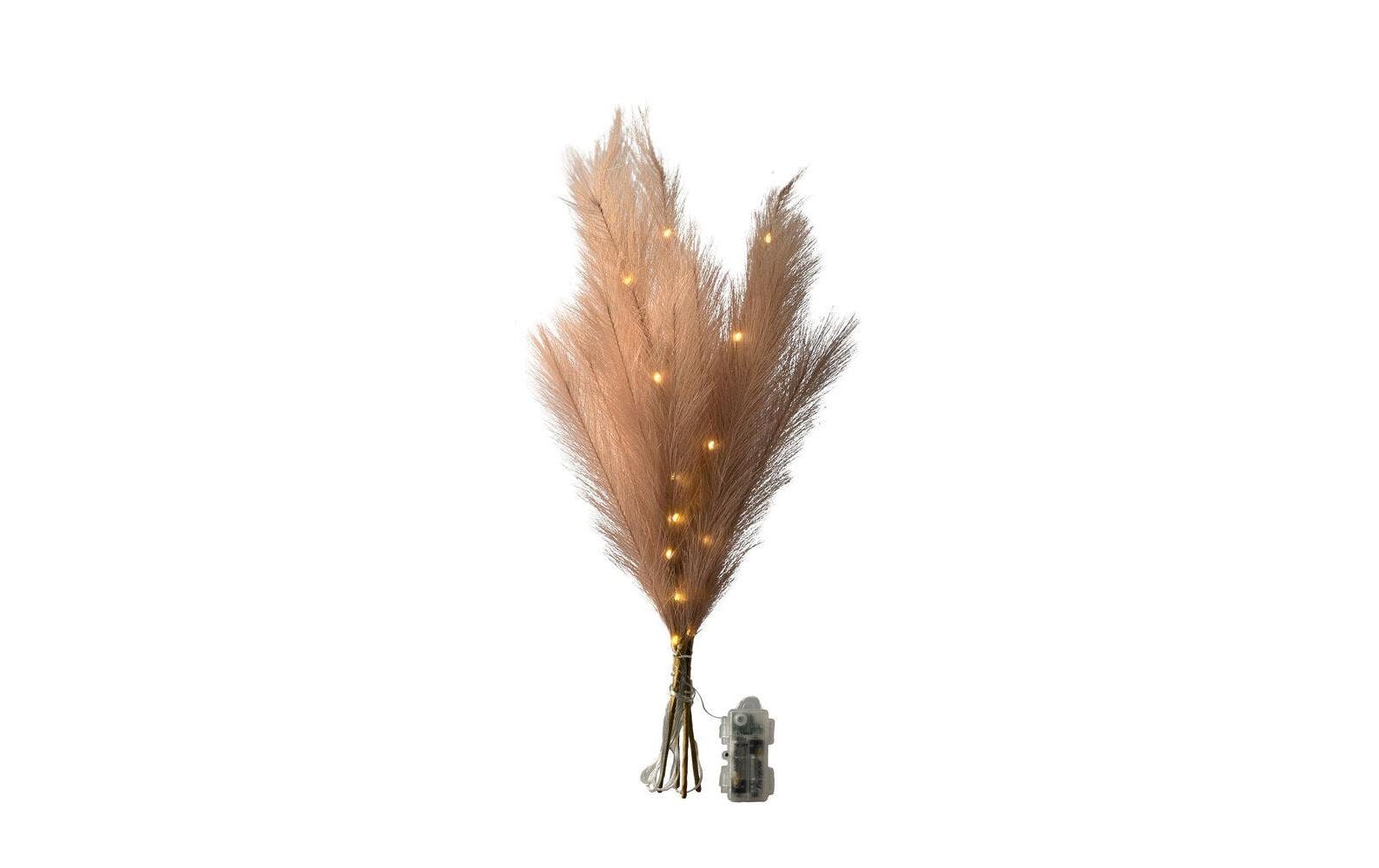 Konstsmide LED-Deko Pampasgras beige Höhe 65 cm 28 warm…