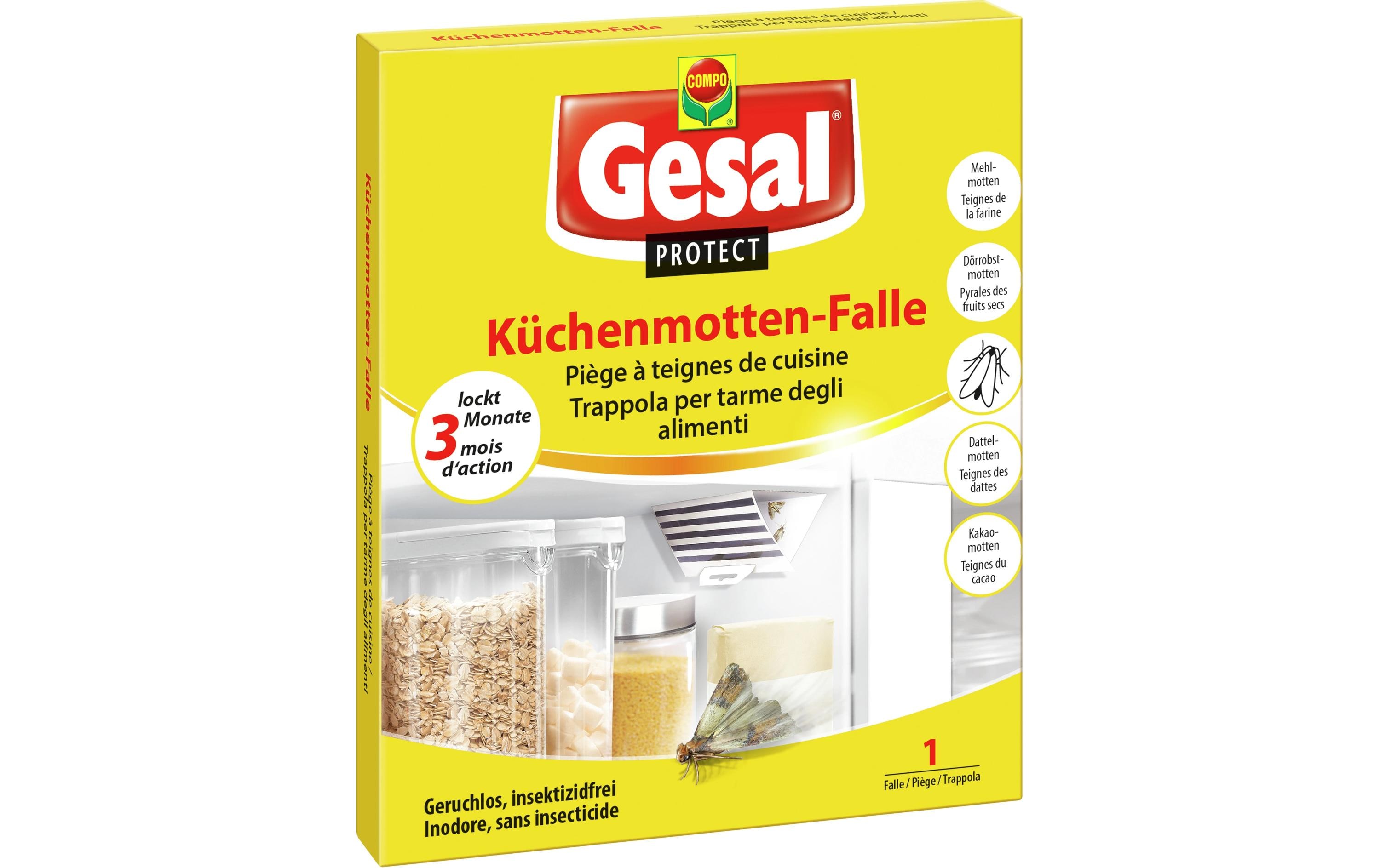 Gesal Protect Küchenmotten-Falle 1 Stück
