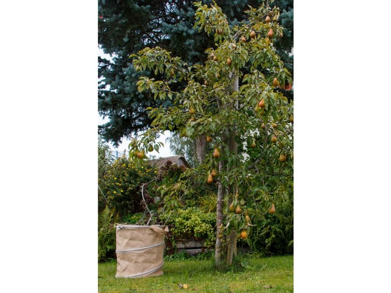 Colibri Allzweckbehälter Pop-up Jute, 172L