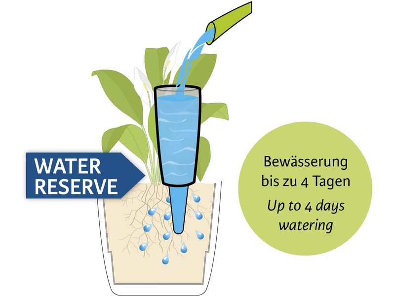 scheurich, Wasserspender Copa M, Transparen