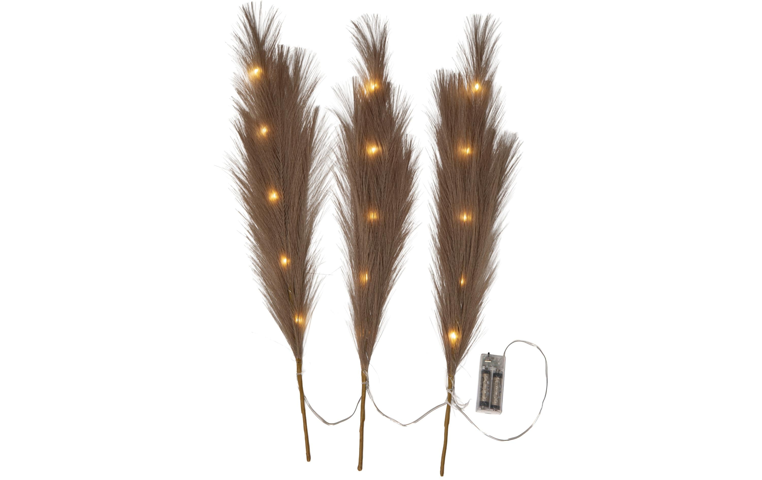 Star Trading Dekorativer Zweig Plumes Indoor, Braun, 65 cm Höhe – Lichterkette batteriebetrieben von Star Trading