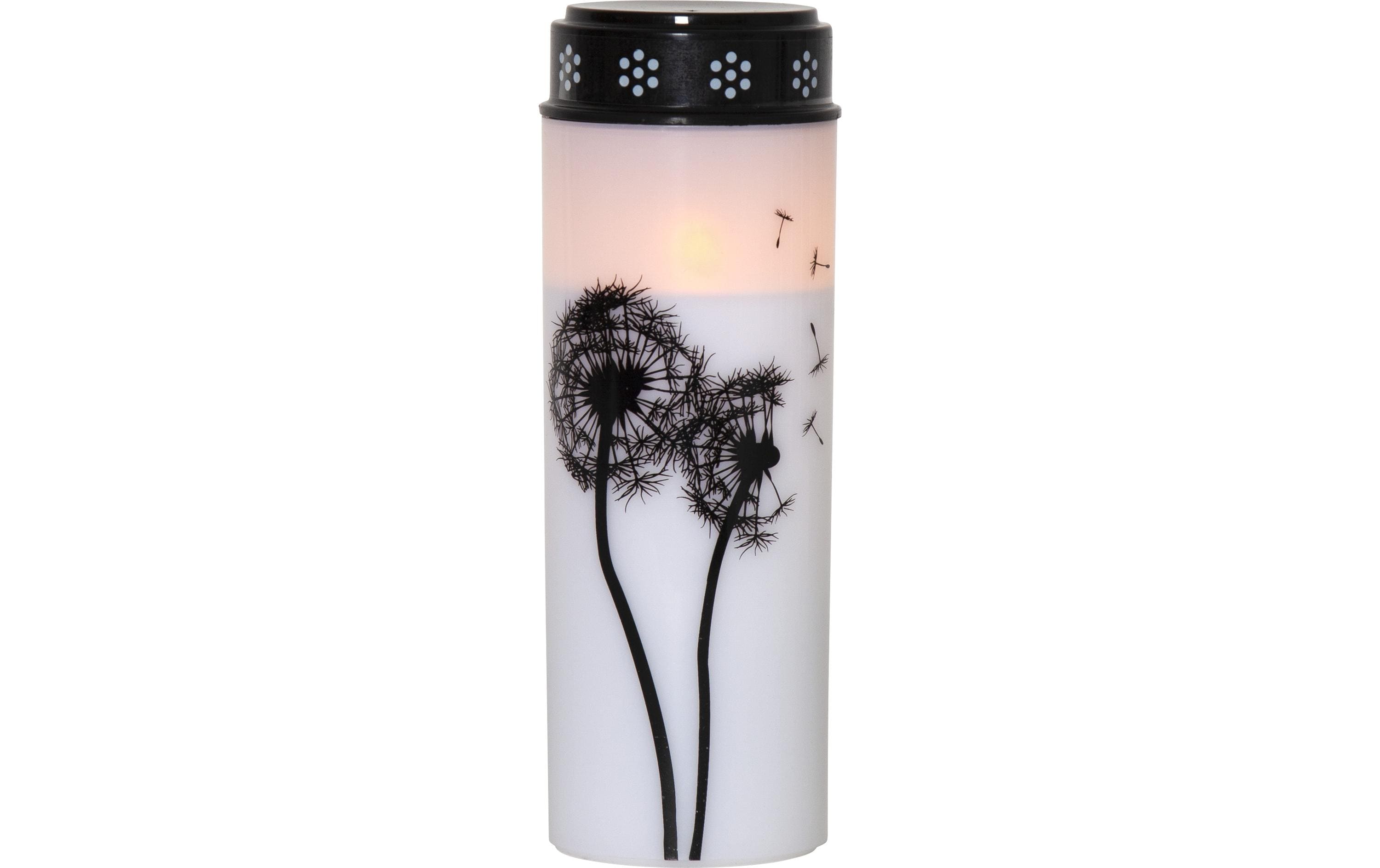 Star Trading LED Grabkerze Löwenzahn, Ø 7 x 21 cm, Weiss – LED-Grabkerze mit Timer für aussen von Star Trading