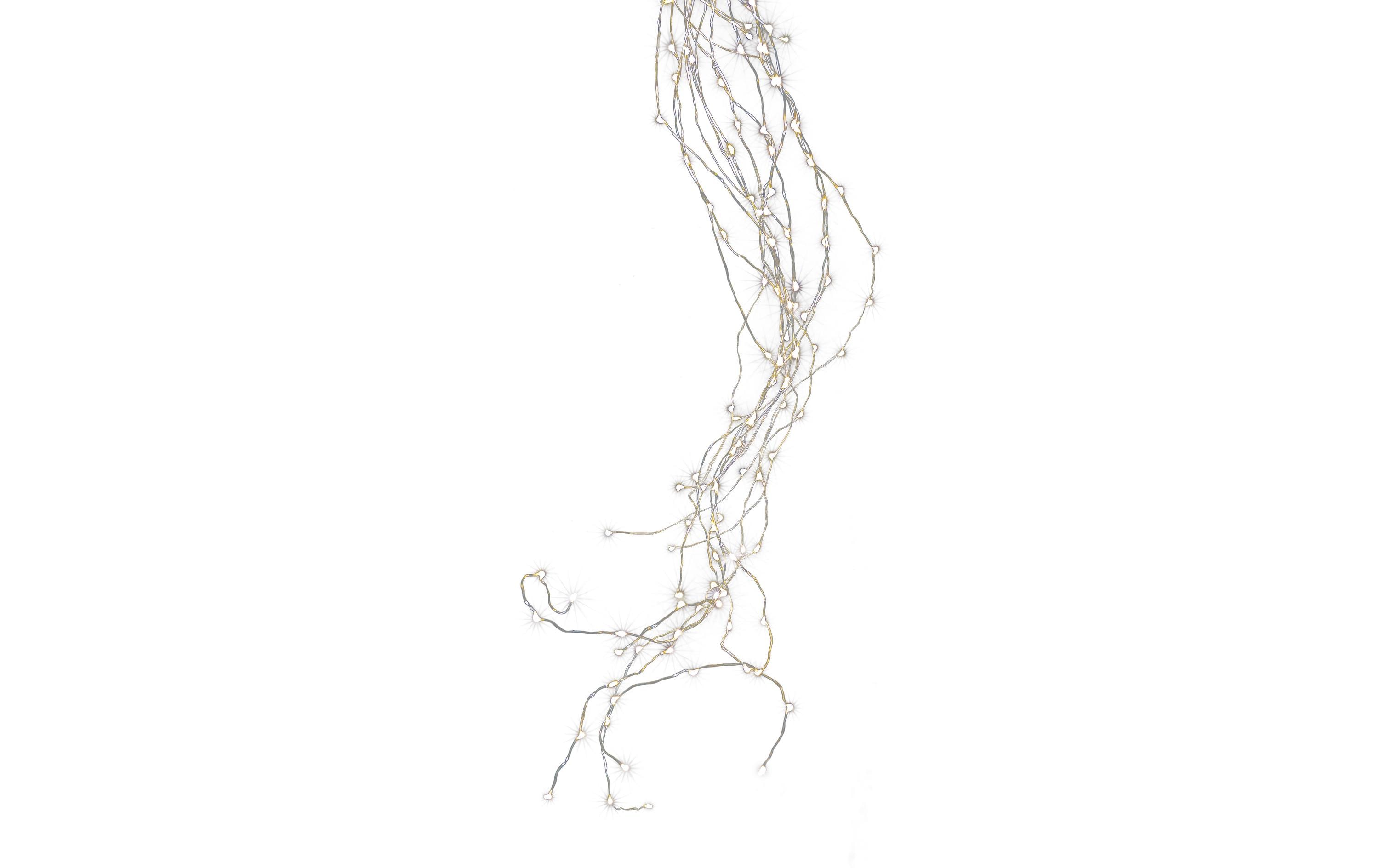 STT LED Lichterkette Angel Hair Bouquet, 2.5 m, 600 LED…