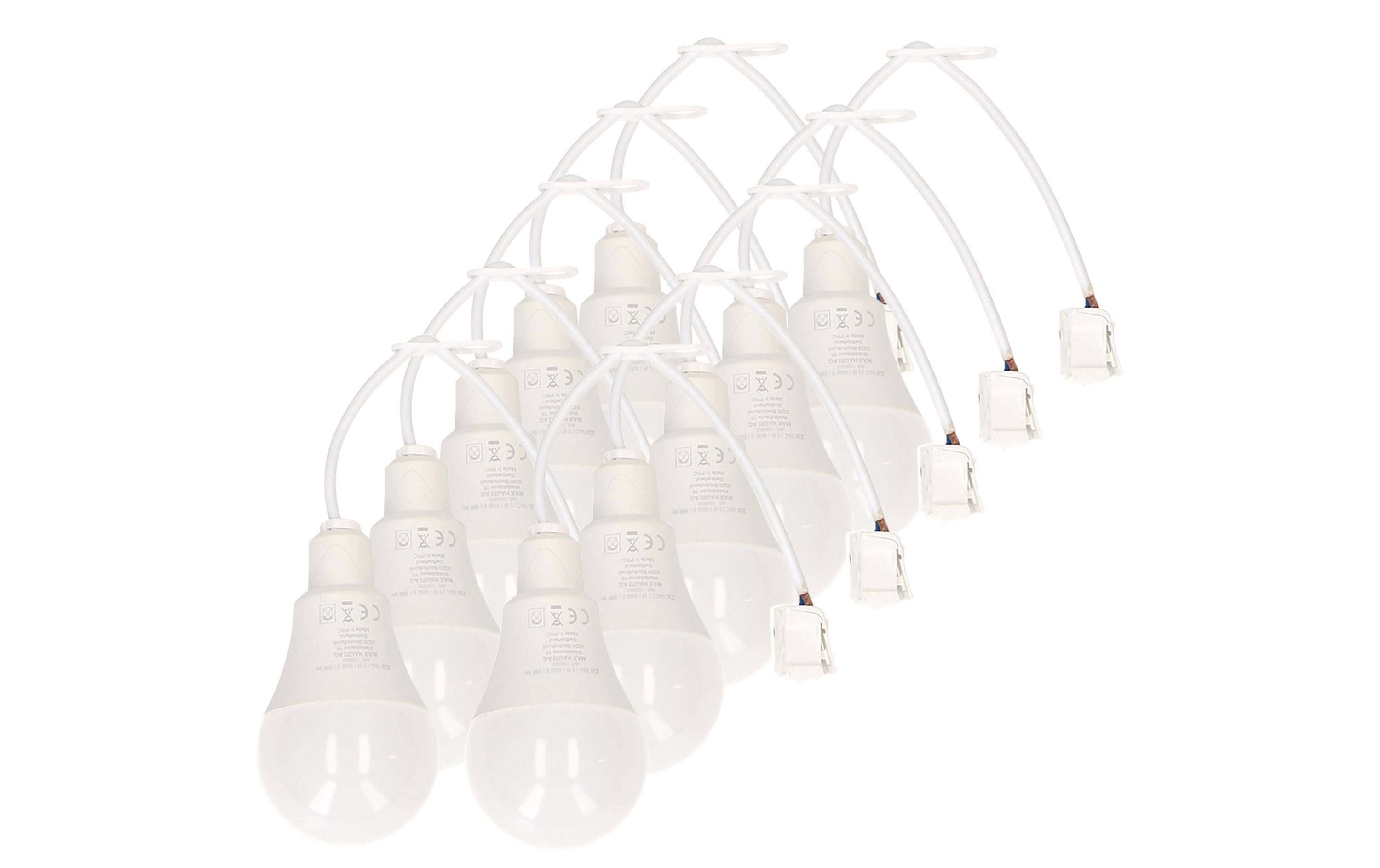 Max Hauri Baustellenlampe LED 4000K, 10 Stück – Baustellenlampe von Max Hauri
