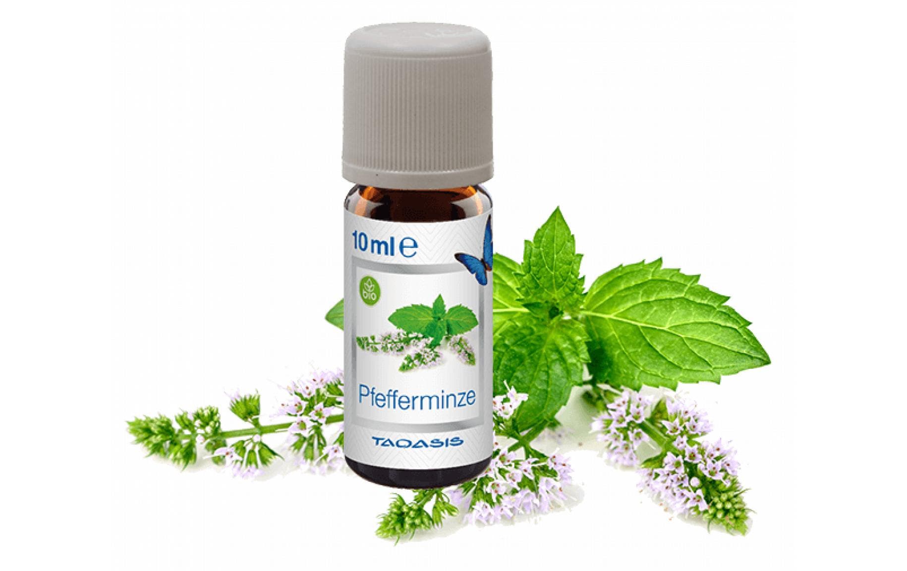 Venta Bio-Duftöl Pfefferminze