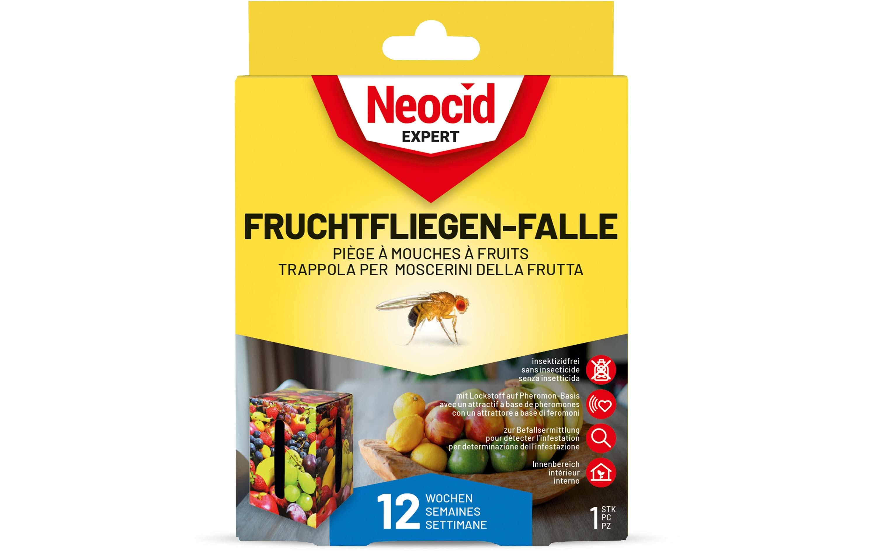 Neocid Expert Insektenfalle Fruchtfliegen, 1 Stück