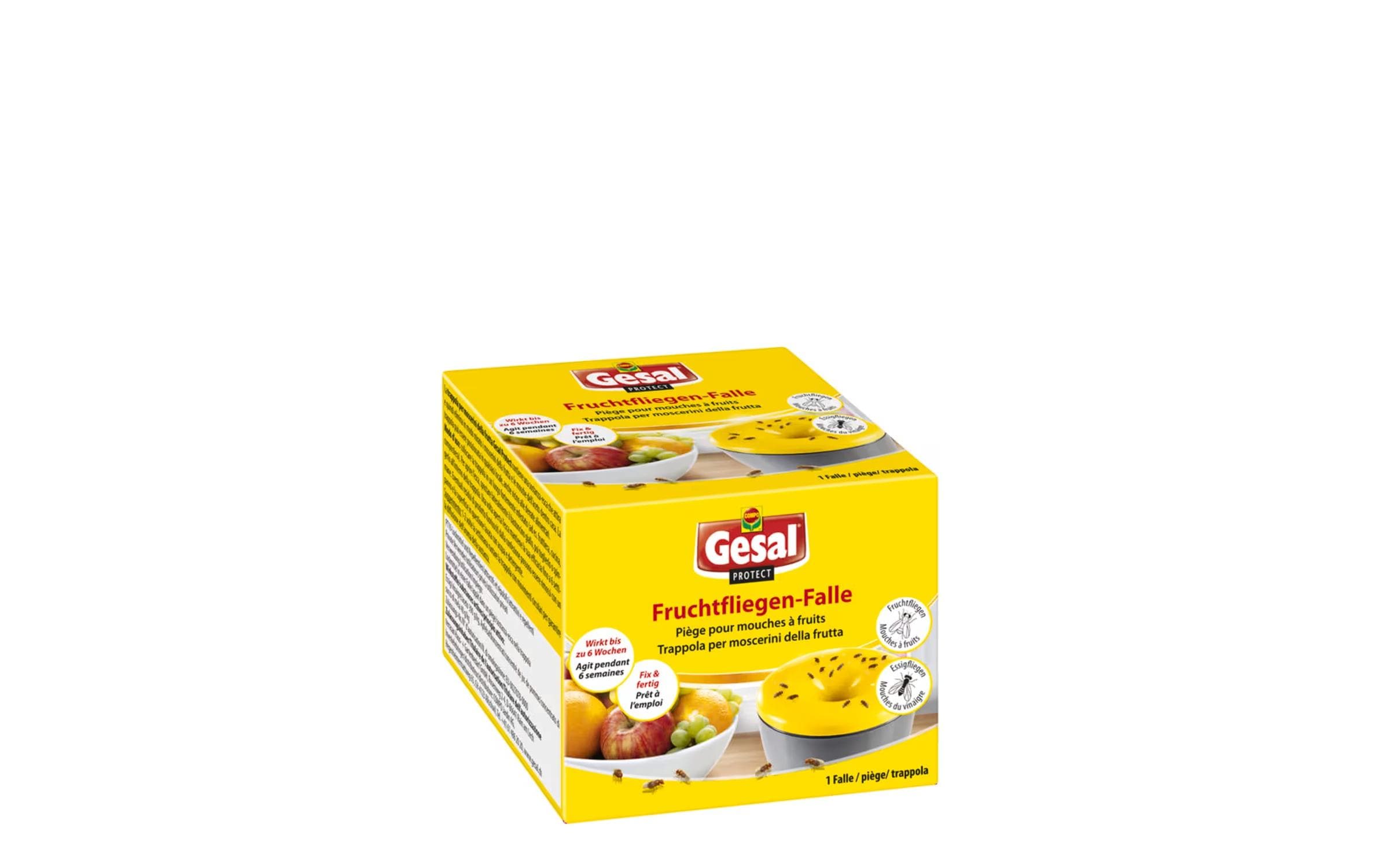Gesal Protect Fruchtfliegen-Falle 1 Stk