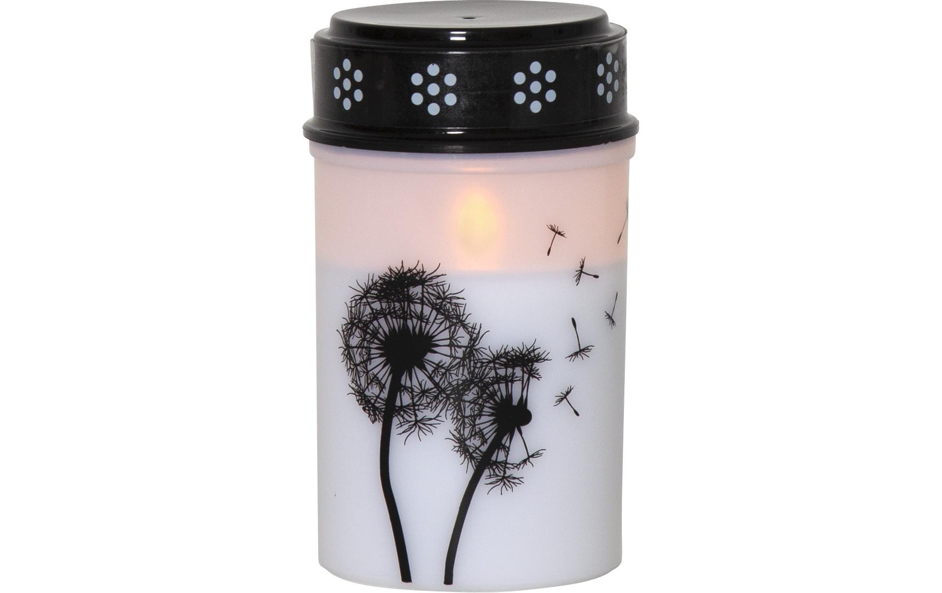 Star Trading LED Grabkerze Löwenzahn, Ø 7 x 12 cm, Weiss – LED-Grabkerze mit Timer für aussen von Star Trading