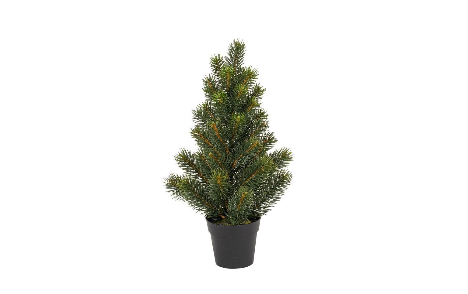 Botanic-Haus Weihnachtsbaum Tannenbaum im Topf, 41 cm – LED-Weihnachtsbaum von Botanic-Haus