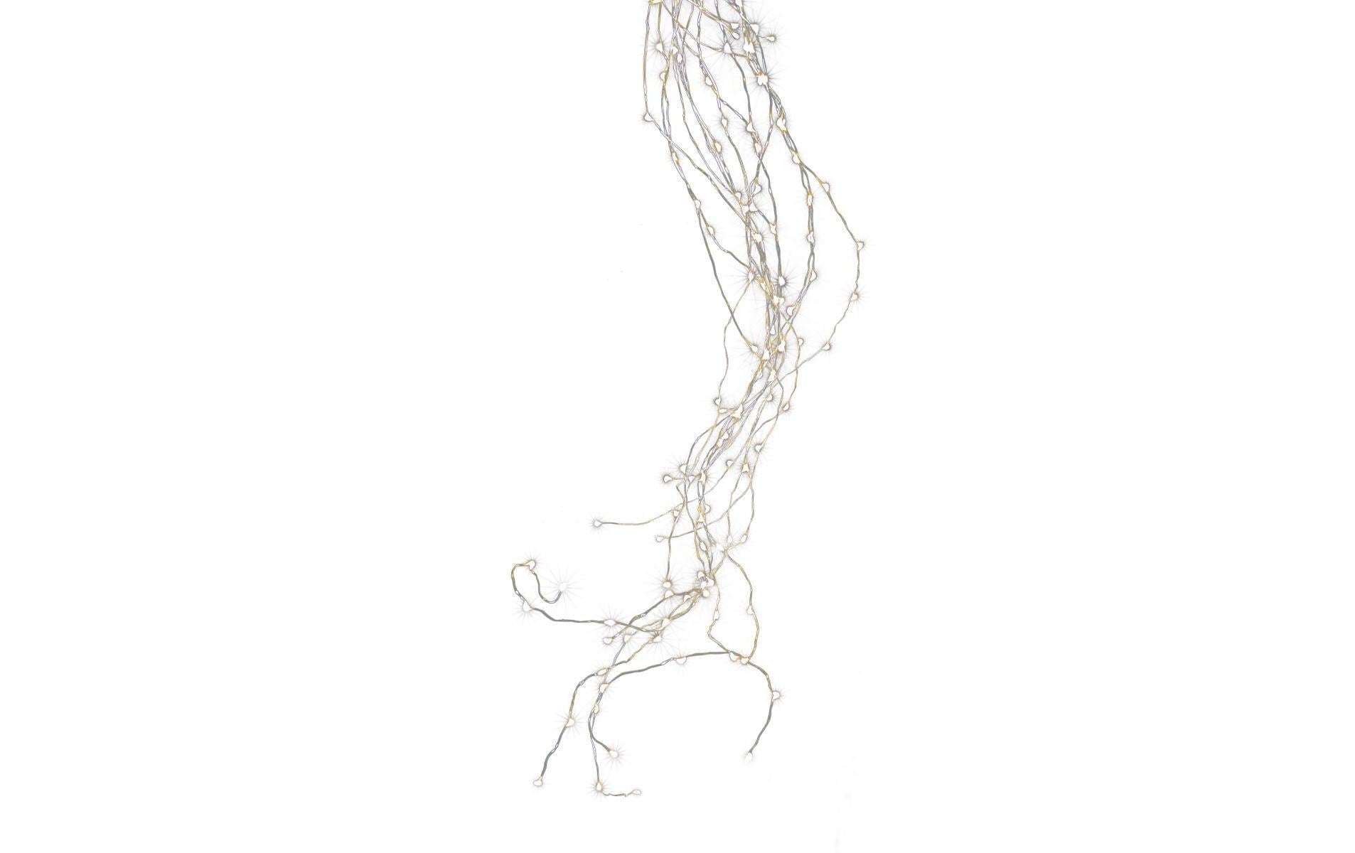 STT LED Lichterkette Angel Hair Bouquet 2 m, 300 LED Si…