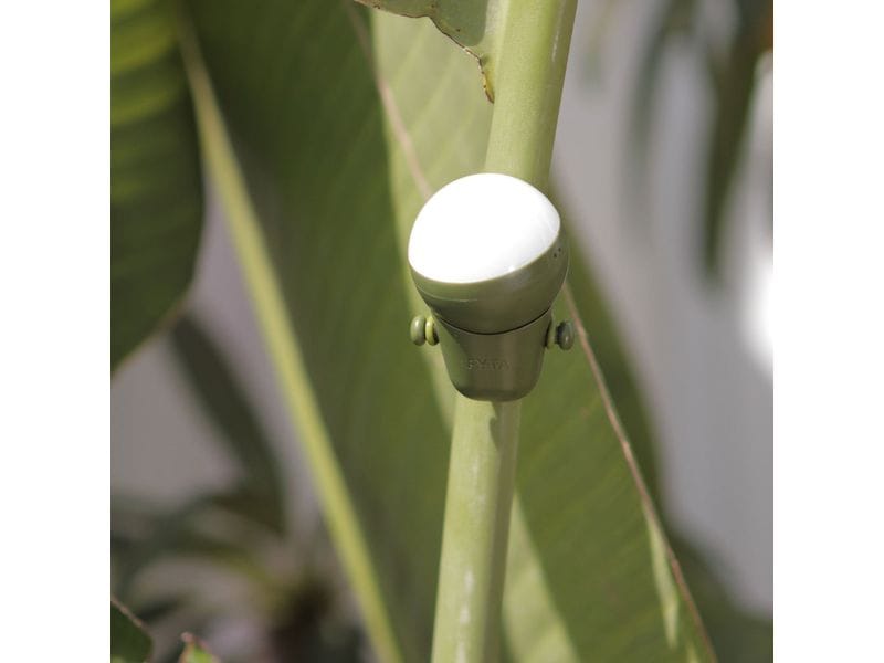 FYTA Sphere