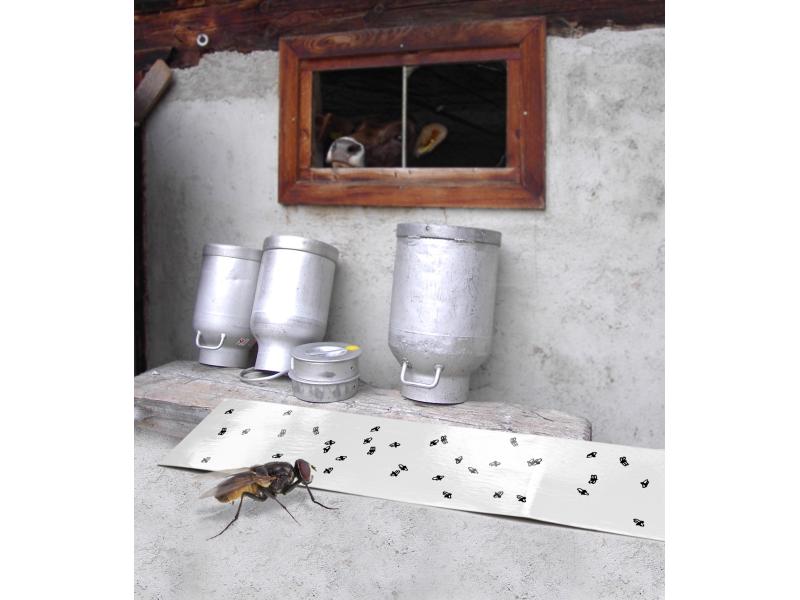 Windhager Fliegenfänger Papier ECO