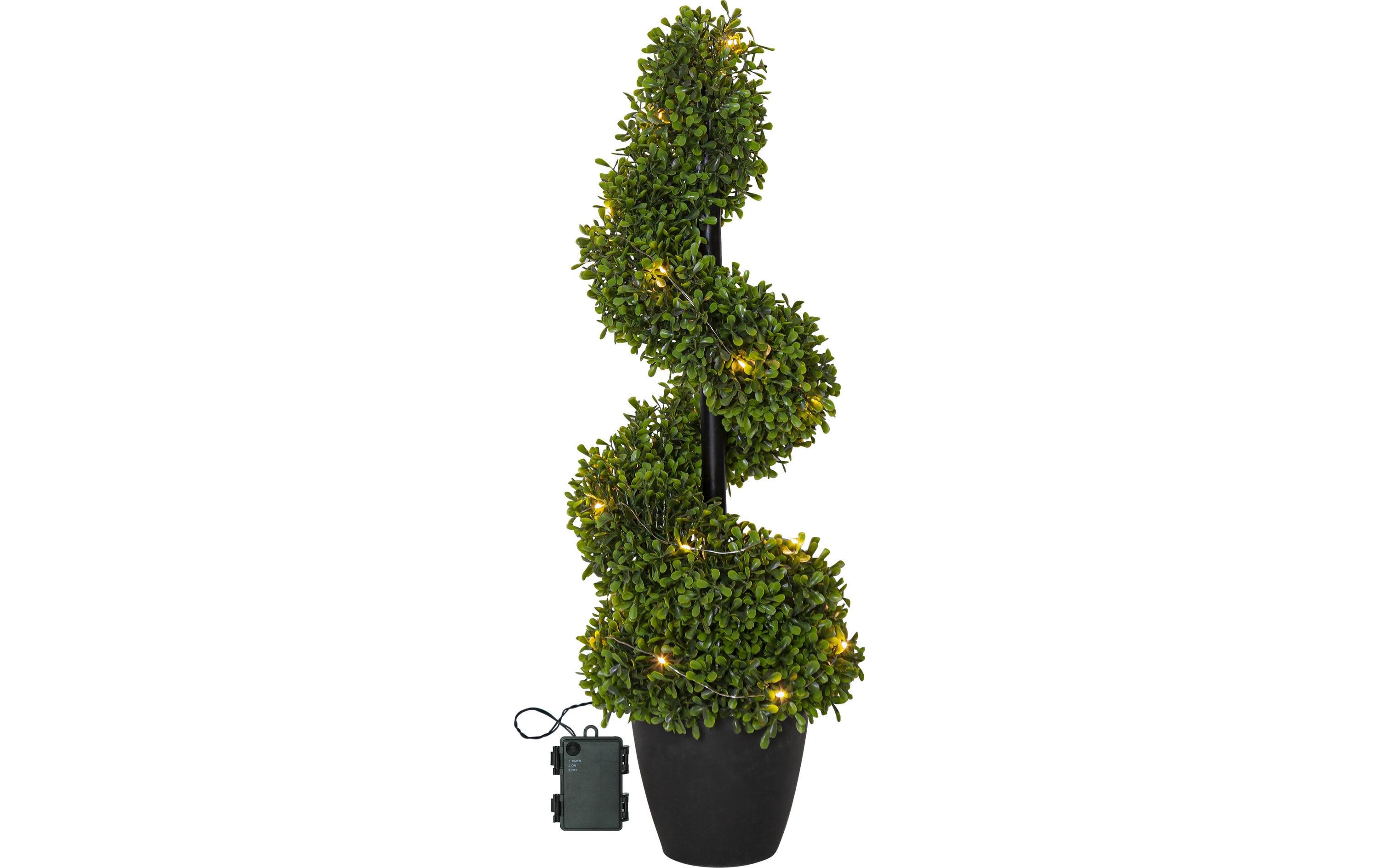 Star Trading Baum Buxbom, 0.65 m, Grün, 20 LED – LED-Weihnachtsbaum für aussen von Star Trading