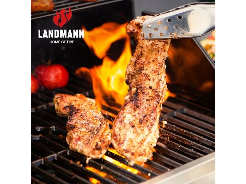 LANDMANN Gasgrill Rexon 3.1