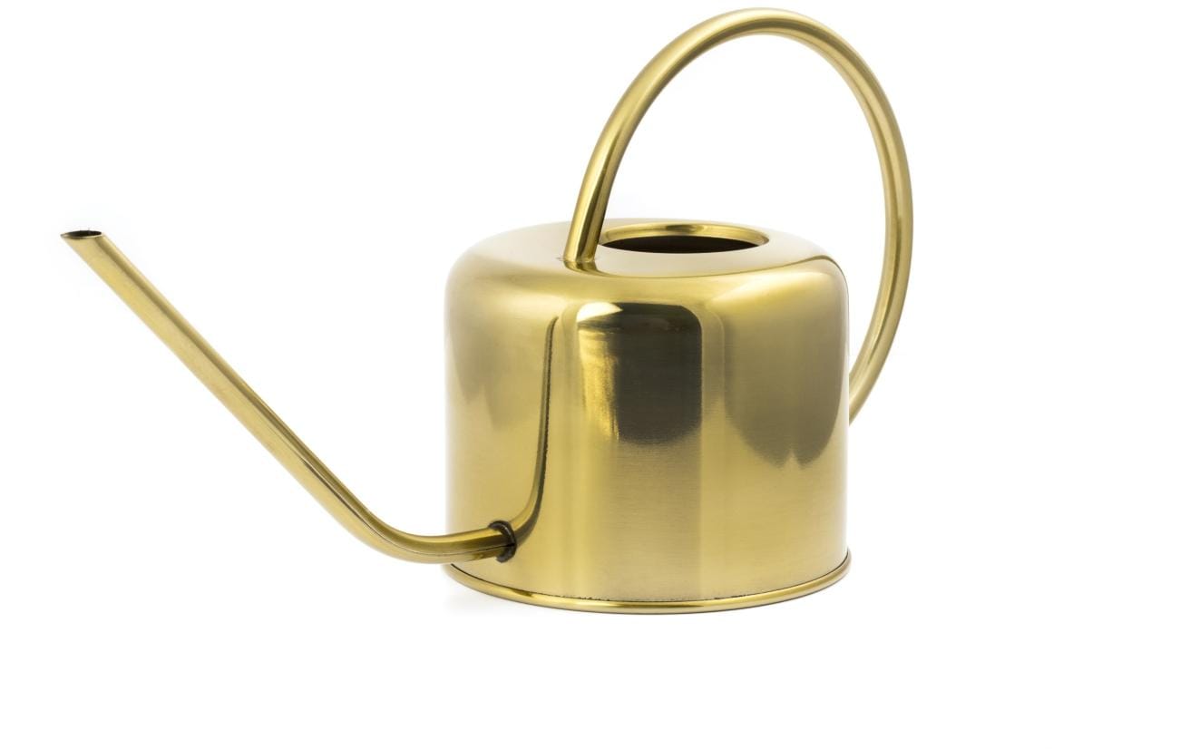 Kikkerland Giesskanne 1,2 l in Gold