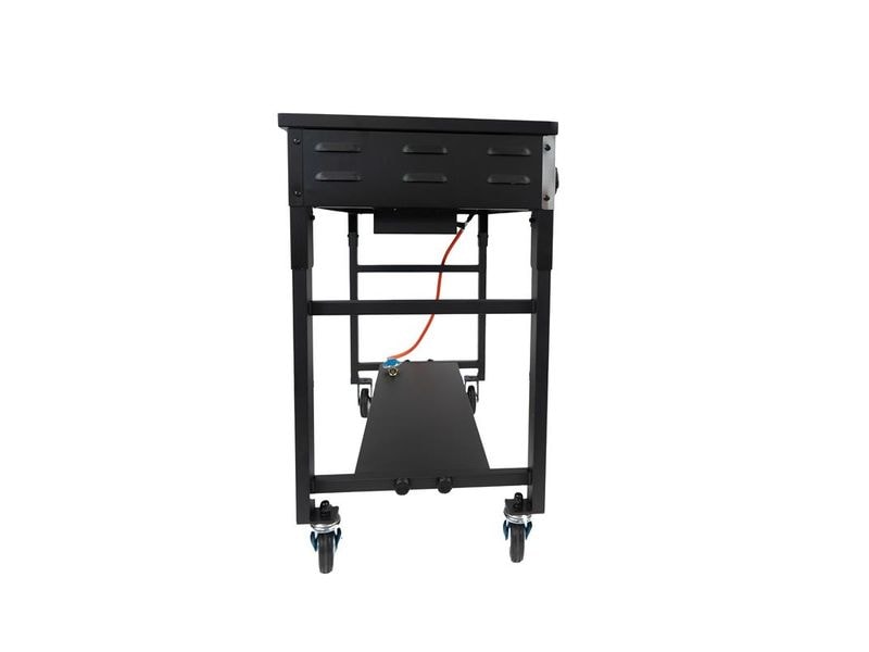 BBQ Gastrogrill Pro