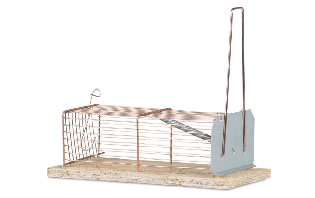 Windhager Drahtkasten-Mausefalle