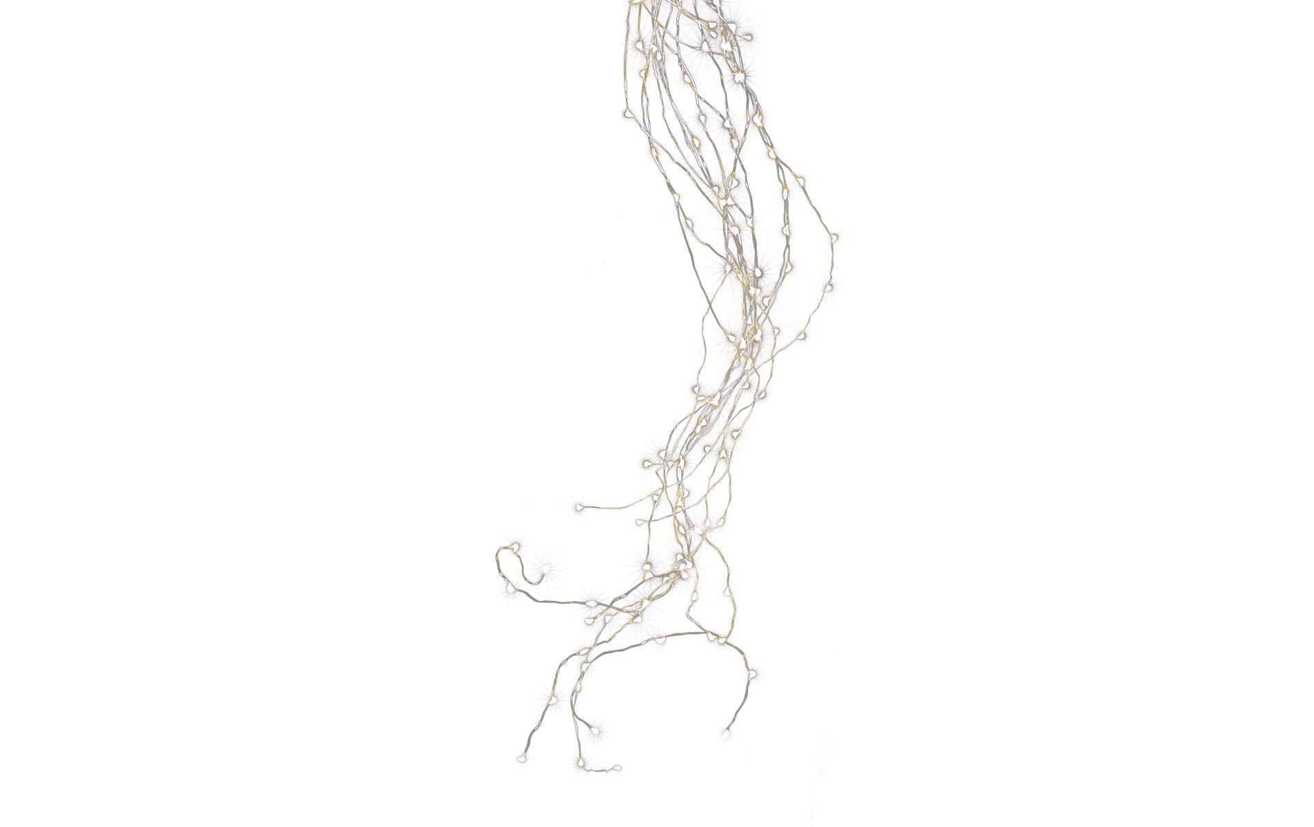 STT LED Lichterkette Angel Hair Bouquet 1 m 60 LED, Sil…