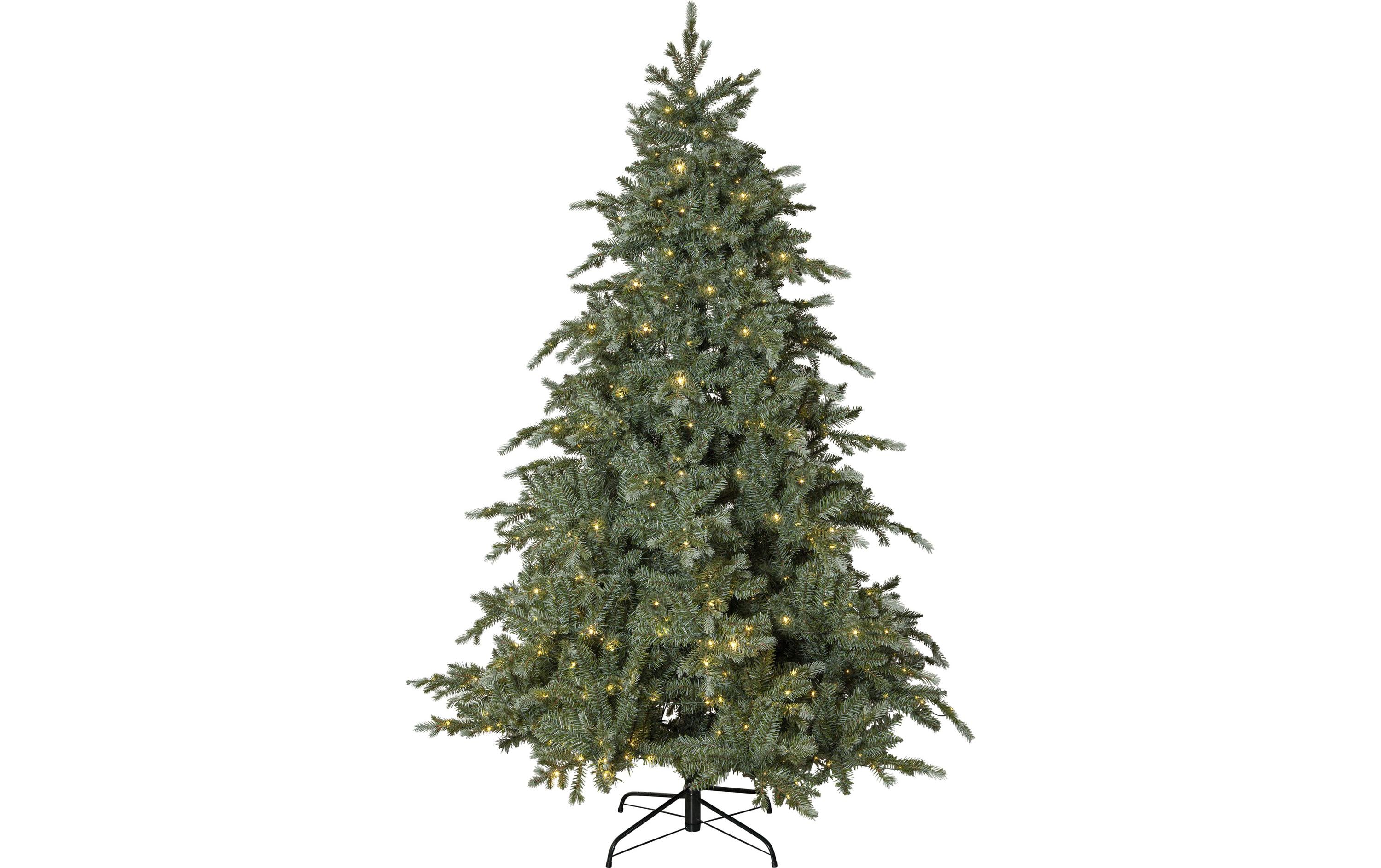 Star Trading Weihnachtsbaum Greyland, 700 LED's, 210 cm – LED-Weihnachtsbaum für aussen von Star Trading